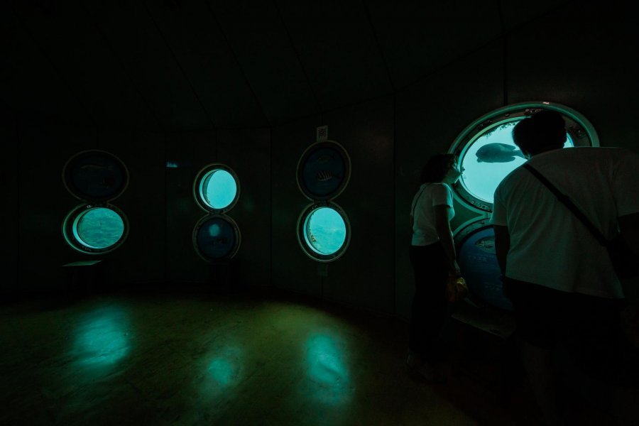 🐠 천연 뮤지엄・아시즈리 해저관(덴넨 뮤지아무・아시즈리 카이테이칸) 이미지 7